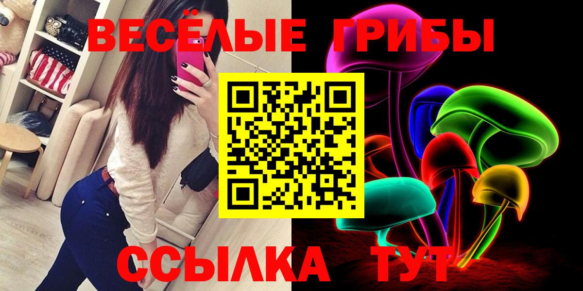 Псилоцибиновые грибы Psilocybine cubensis Морозовск