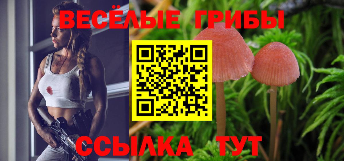 Галлюциногенные грибы Psilocybe  Вход с VPN  Морозовск 